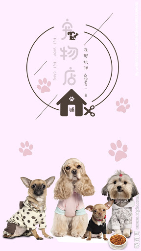 Bà Chủ Cửa Hàng Thú Cưng